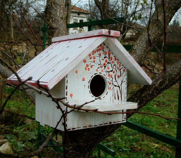 Къщи за птици