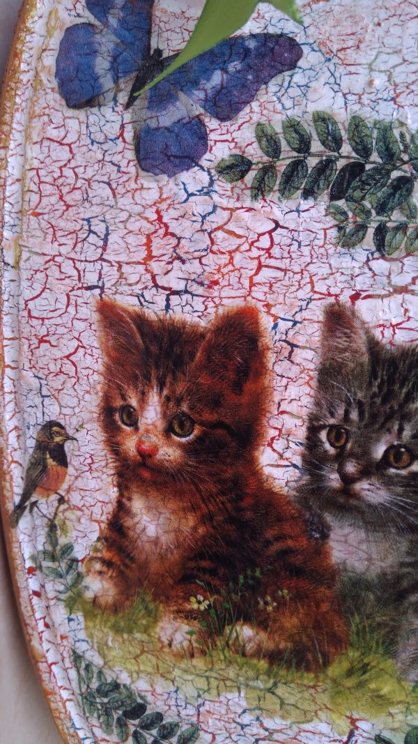 Котенца