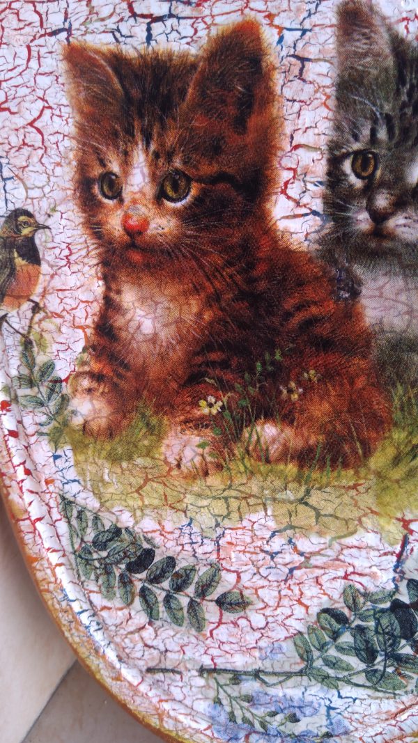 Котенца