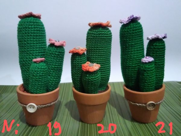 Плетени кактуси в саксийка