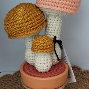 Плетени гъбки в керамична саксийка