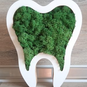 Подарък за зъболекар със скандинавски мъх