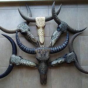 Биволски череп. Авторска дърворезба.
