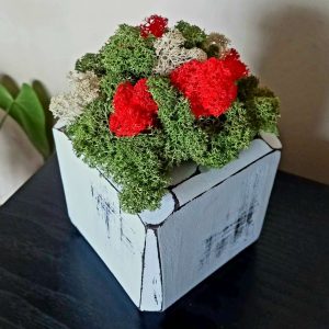 Кашпа от масивно дърво и скандинавски мъх