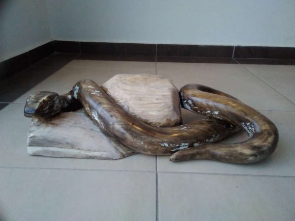 Змия.