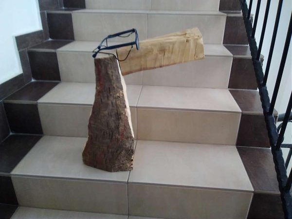 Птица - Тукан.