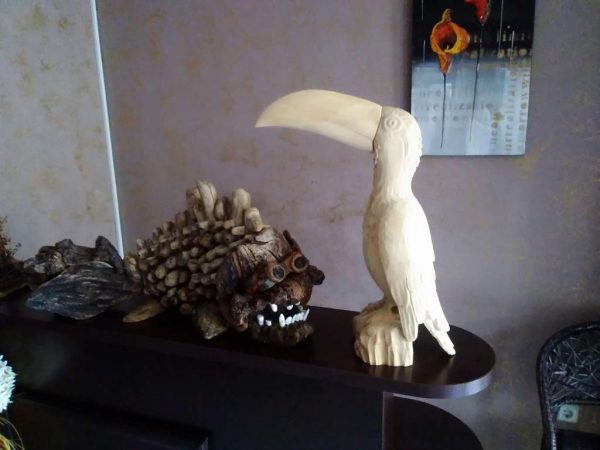 Птица - Тукан.