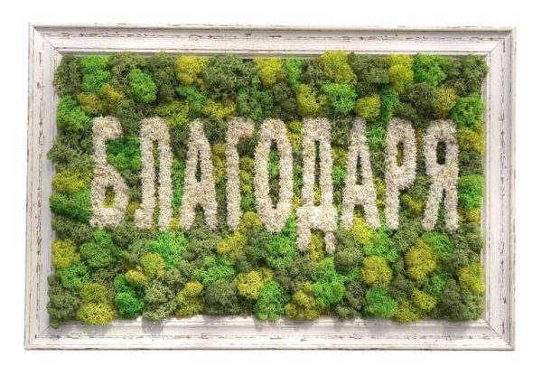 Картина със скандинавски мъх