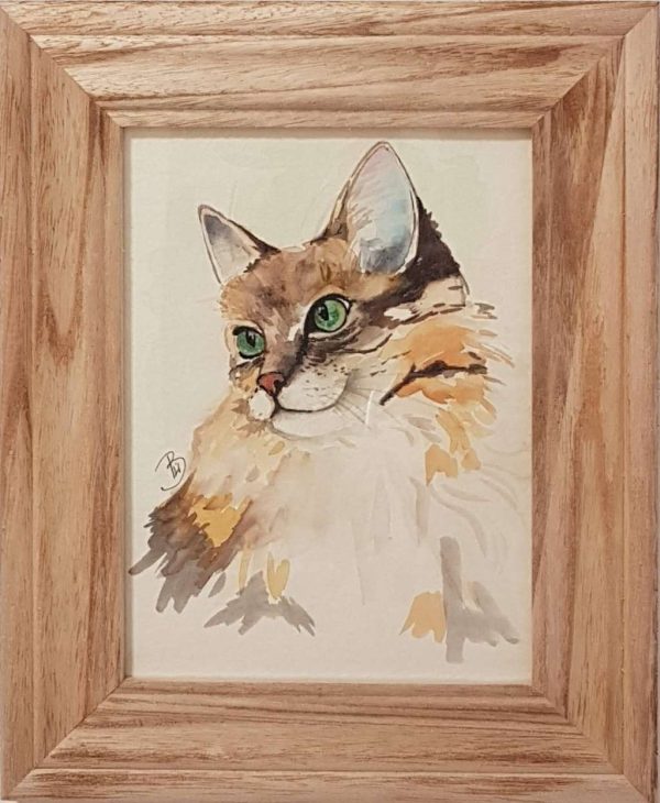 Картина акварел „Коте“