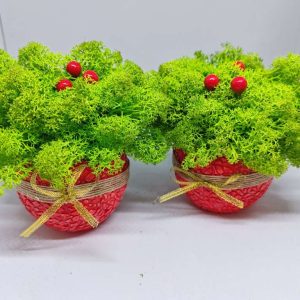 Коледна кашпа със скандинавски мъх