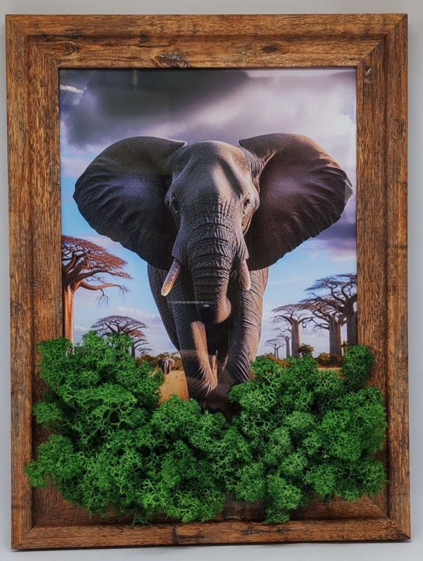 Жива картина със скандинавски мъх "Слон"