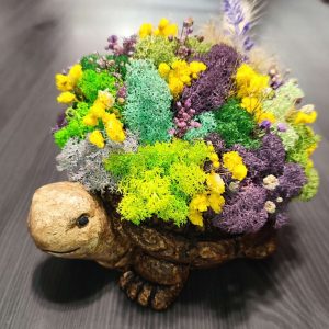 Костенурка кашпа със скандинавски мъх