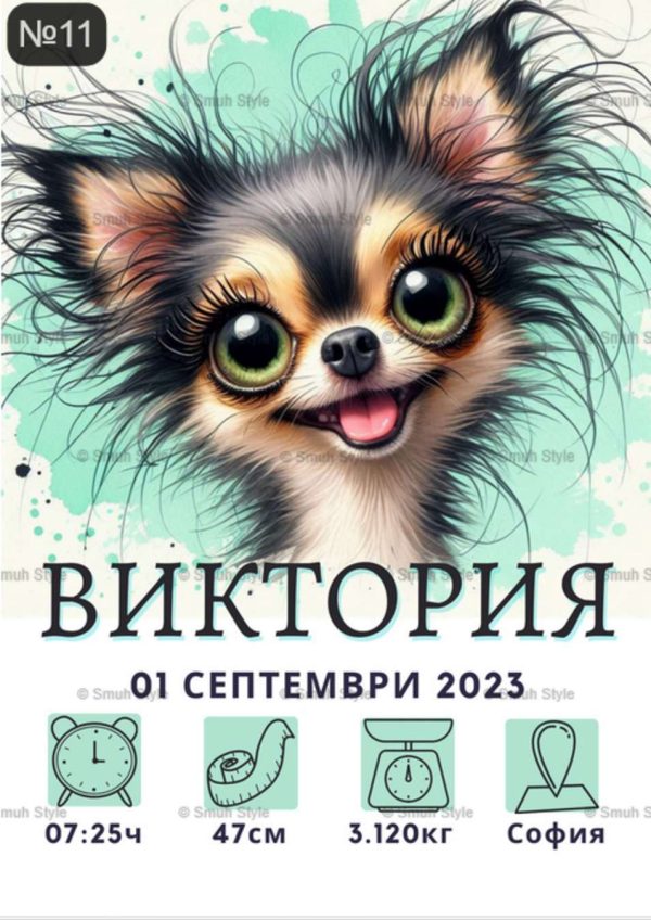 Бебешка визитка в рамка