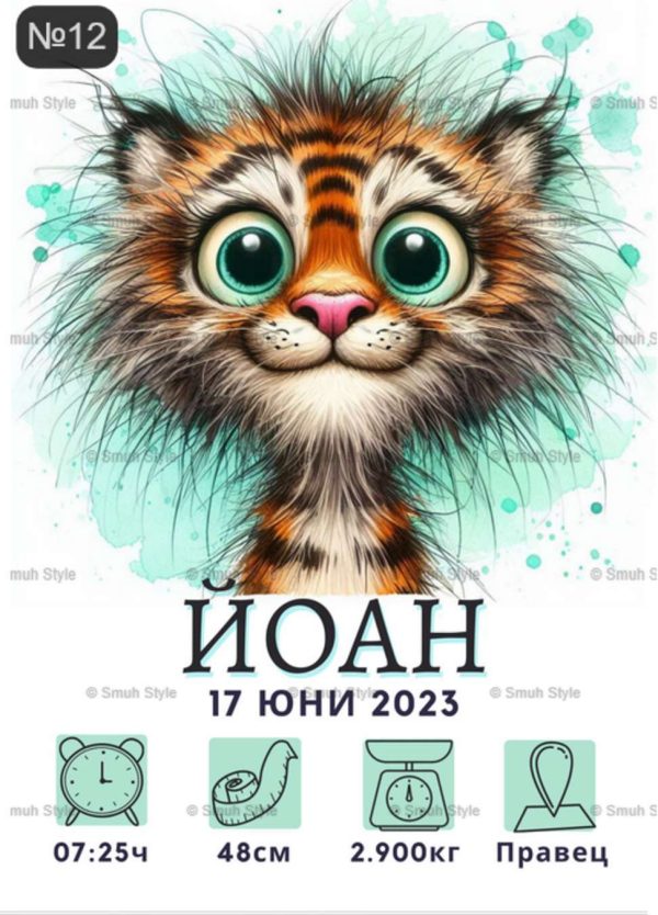 Бебешка визитка в рамка