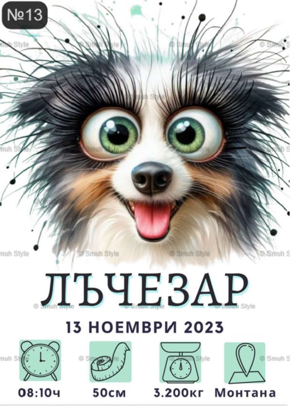 Бебешка визитка в рамка