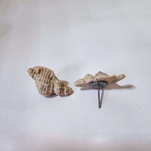 Обеци с рапани от полимерна глина