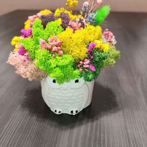 Кашпи- бухал модел 1 със скандинавски мъх