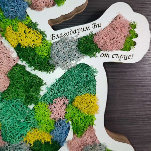Бебе със скандинавски мъх