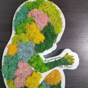 Бебе със скандинавски мъх