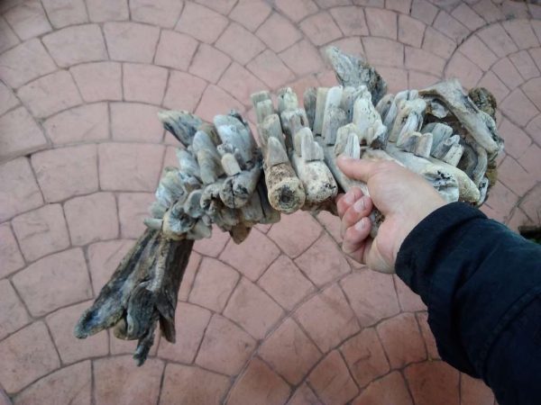 Риба.