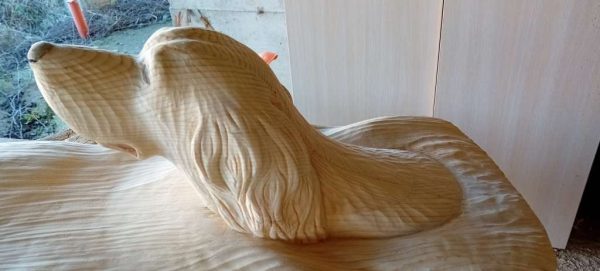 Кучето плува след топката