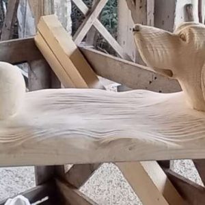 Кучето плува след топката
