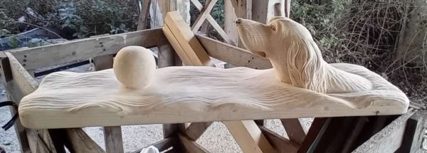 Кучето плува след топката
