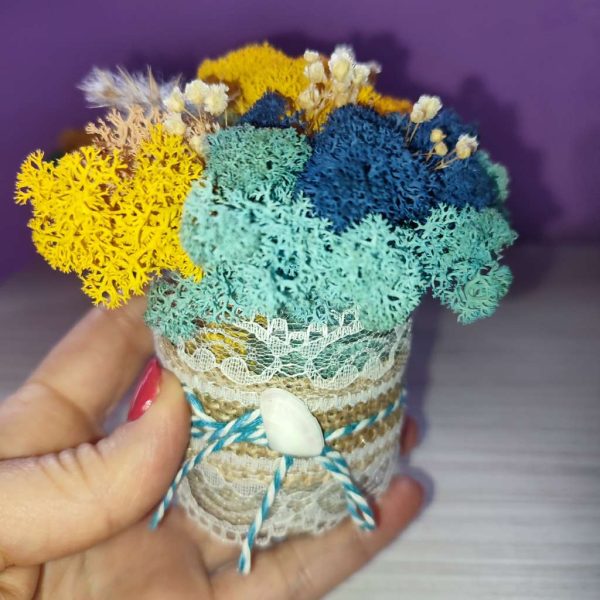 Средни бурканчета със скандинавски мъх
