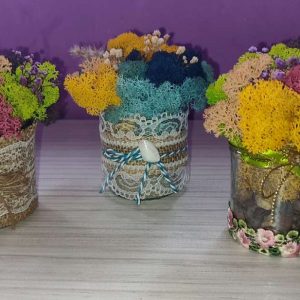 Средни бурканчета със скандинавски мъх