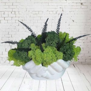 Кашпа със скандинавски мъх