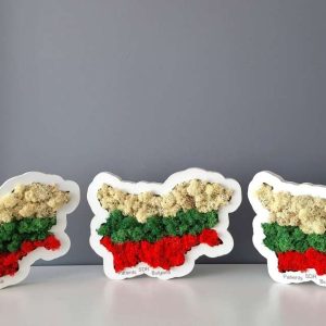 Декорация със скандинавски мъх- пано България