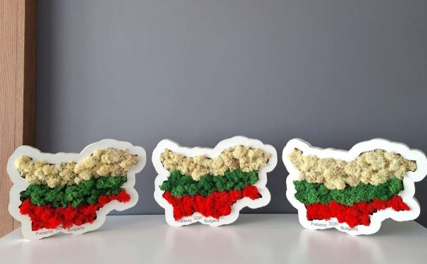 Декорация със скандинавски мъх- пано България