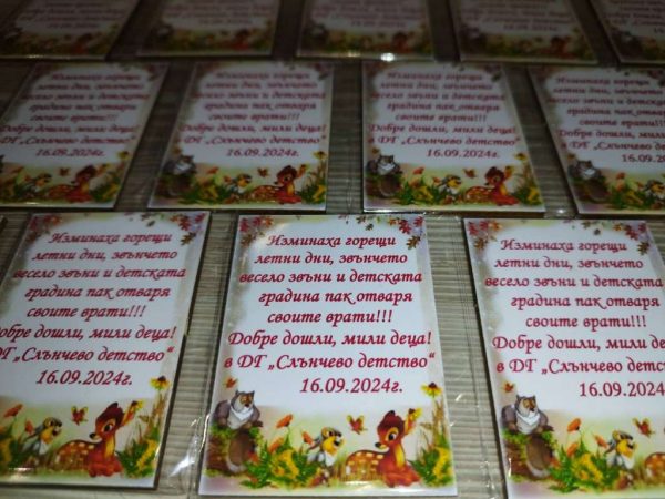 Магнитчета