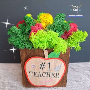 Кашпа за учител номер едно!