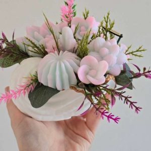 Сукуленти от глицеринов сапун