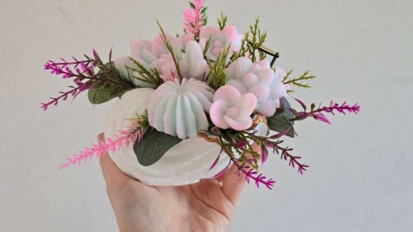 Сукуленти от глицеринов сапун