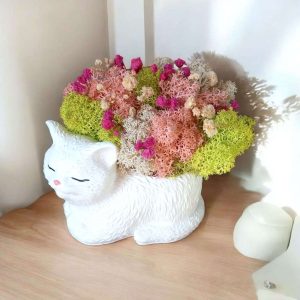 Кашпа със скандинавски мъх "Коте"