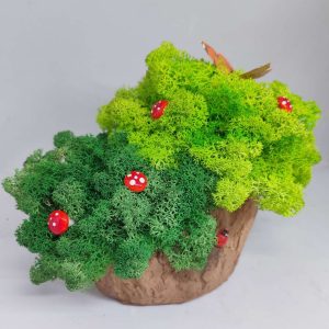 Кашпа пънче със скаднинавски мъх, губки и пеперуда