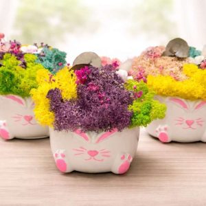 Кашпи Зайчета Кашпи Зайчета