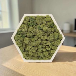 Пано със скандинавски мъх