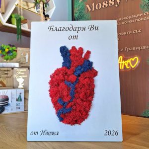 Пано за кардиолог със скандинавски мъх Пано за кардиолог със скандинавски мъх